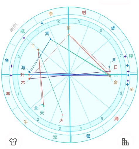 11月25日 星座|射手座（占星学术语）